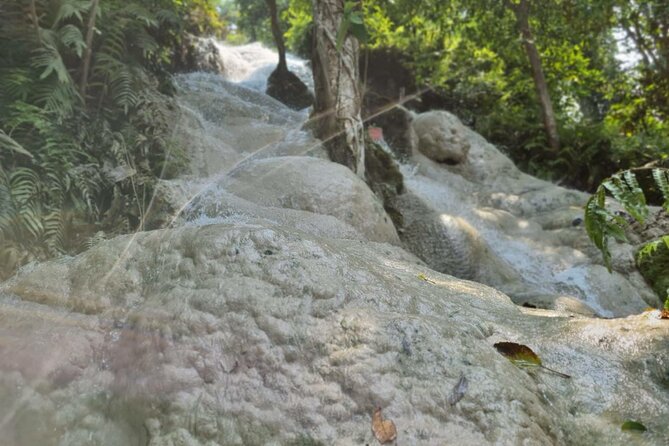 Private Tour: Bua Thong Sticky Waterfalls Tour - Customer Reviews and Feedback