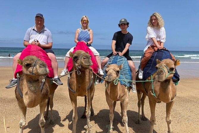 Private Tour: Day Through Gibraltar and Morocco, Tangier From Seville - Meeting and Pickup
