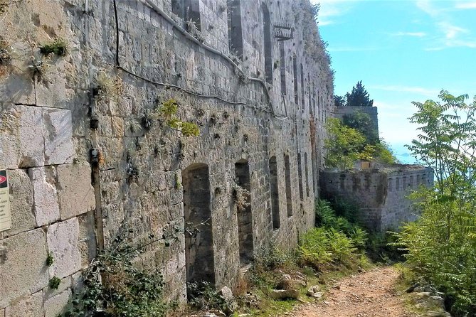 Private Tour Experience Dubrovnik Best Of Serene Views & Tales - Reviews and Ratings