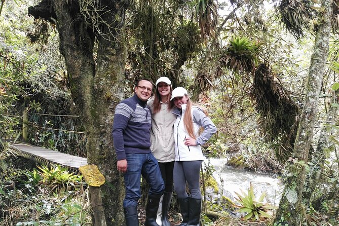 Private Tour From Quito to Papallacta Hot Springs + Ticket Included - Papallacta Hot Springs Experience