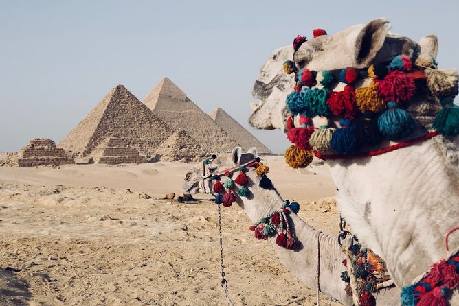 Private Tour in Egypt Giza Pyramids Sphinx and Camel - Booking Details