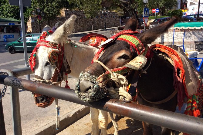 Private Tour in Mijas Pueblo From Costa Del Sol - Traditional Malagan Village Life