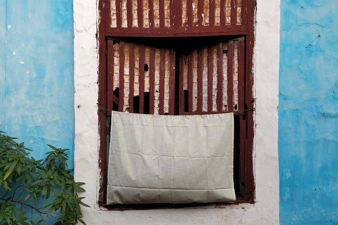 Private Tour of Fontainhas & Old Goas Portuguese Heritage - Reviews From Previous Guests