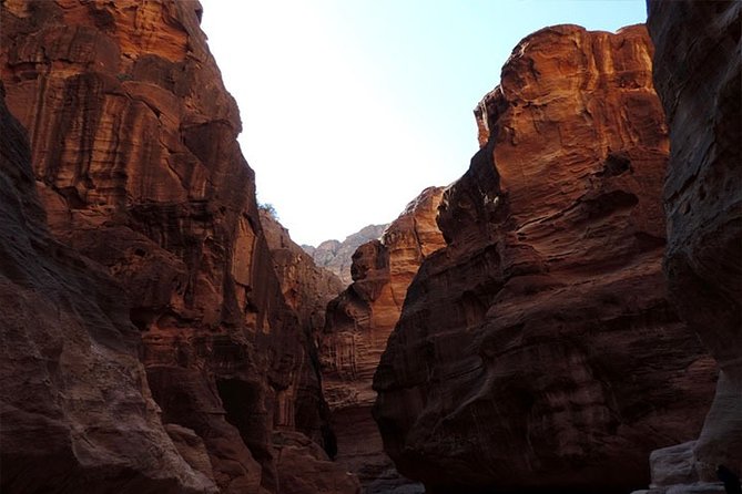 Private Tour: Petra and Little Petra Day Trip From Aqaba - Traveler Experiences and Feedback