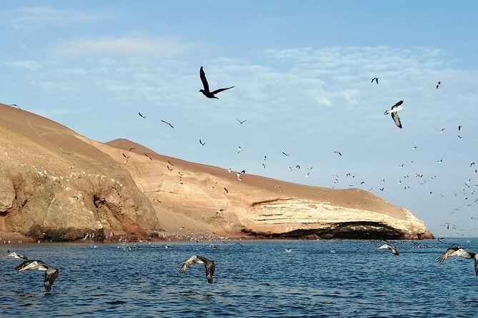 Private Tour to Ballestas Islands, Ica and Huacachina Including Sandboarding - Pricing Details