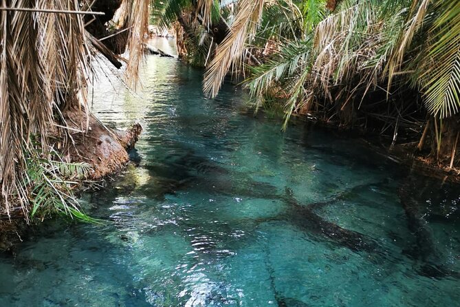 Private Tour to Materuni Waterfalls, Coffee Tour & Kikuletwa Hot- Springs - Personalized Tour Logistics