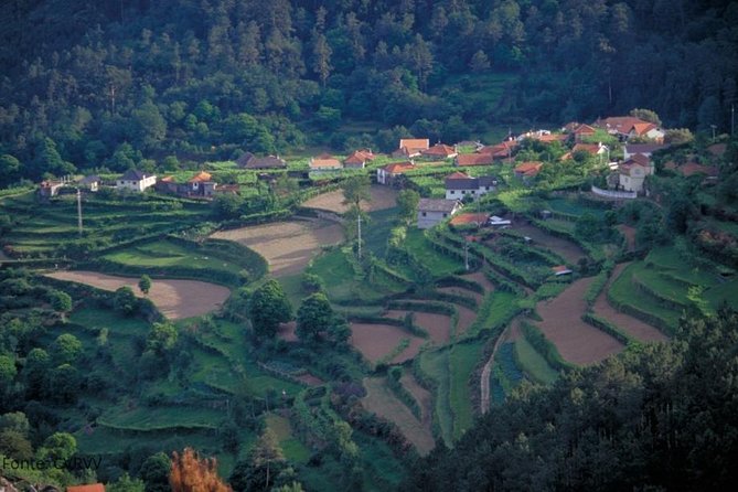 Private Tour to Ponte De Lima, Vinho Verde Region - Transportation Amenities