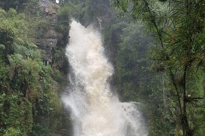 Private Tour to the Nature Waterfall of La Chorrera From Bogotá - Ratings and Reviews
