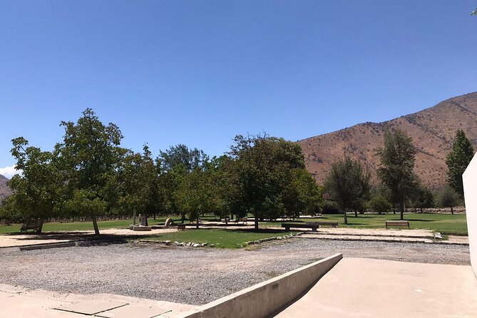 Private Tour to Viña Santa Rita - Discovering the Winerys History