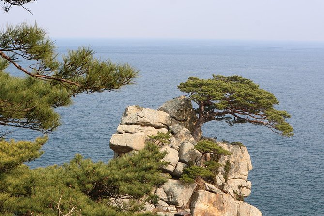 Private Transfer From Dubrovnik to Split With 2 Hours for Sightseeing - Recommended Sightseeing Stops and Activities