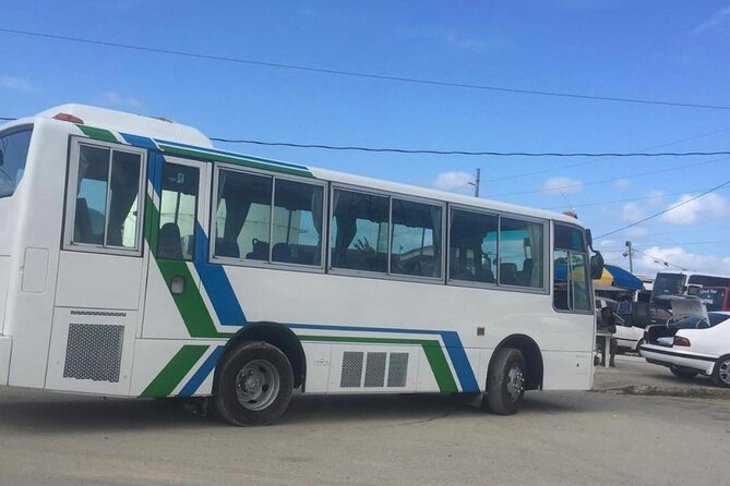 Private Transfer From Montego Bay to Montego Bay Airport - Accessibility Features