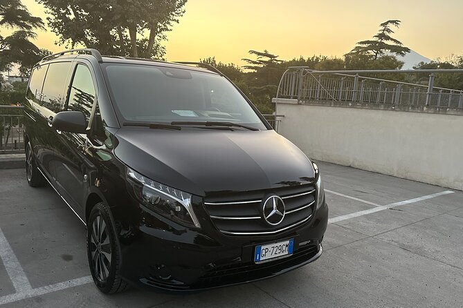 Private Transfer From Positano to Naples - Accessibility Details