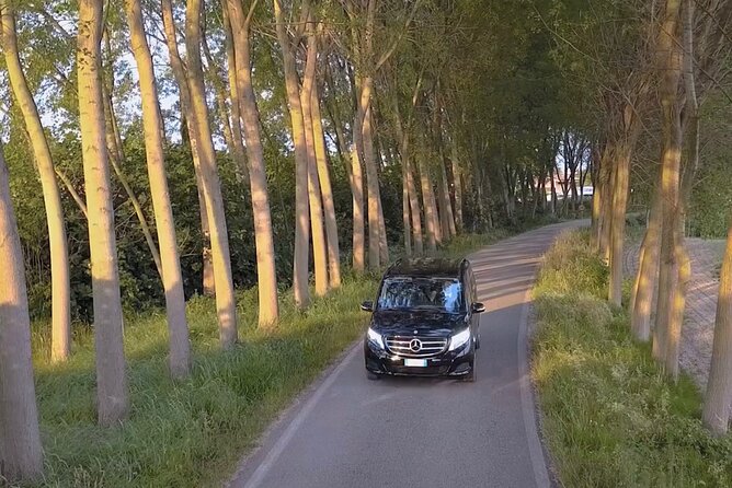 Private Transfer From Venice City Center to Venice Airport - Customer Testimonials
