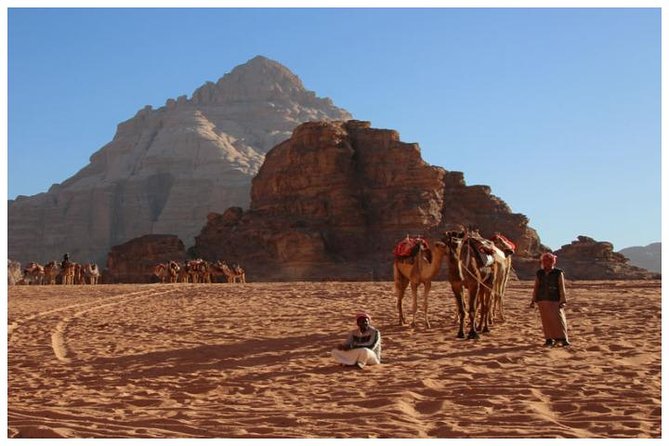 Private Transfer Petra To/From Wadi Rum - Pricing and Booking