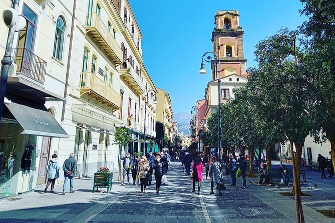 Private Transfer SORRENTO to NAPLES or Reverse With 3 Hours Stop in Pompeii - Optional Add-Ons and Services