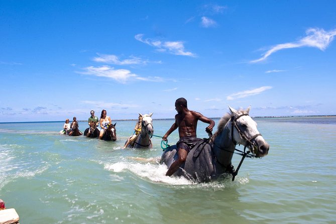 Private Transfer to Beach Horse Back Ride and Swim - Getting to the Beach