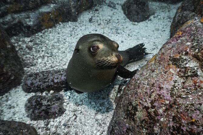 Private Trip Espiritu Santo Island - Traveler Reviews