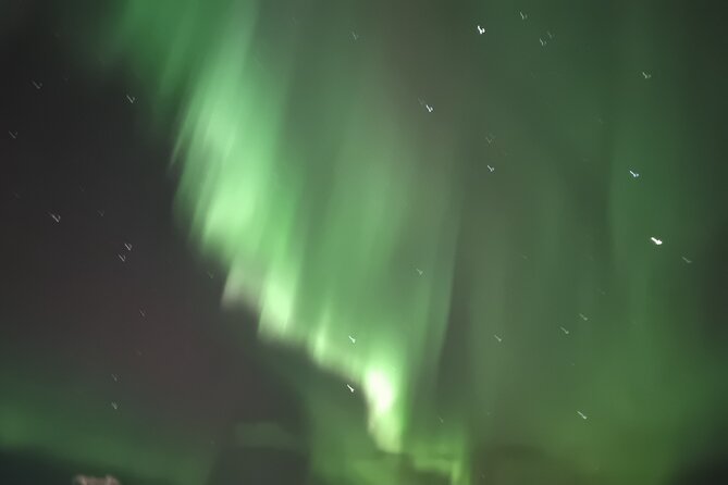 Private VIP Tour Northern Light in Aurora Reykjavik - Ratings and Reviews