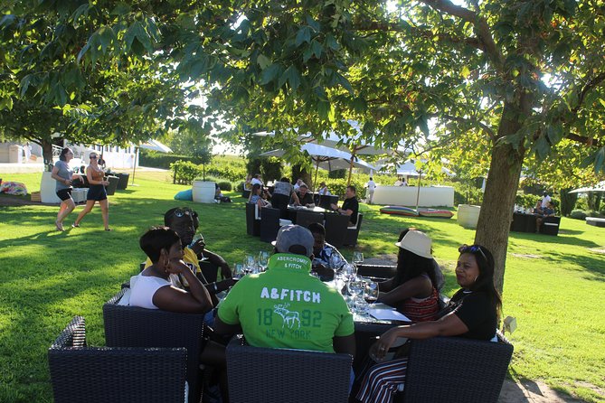 Private Visit to the Wineries Stellenbosch Franschoek From Cape Town Full Day - Accessibility and Accommodations