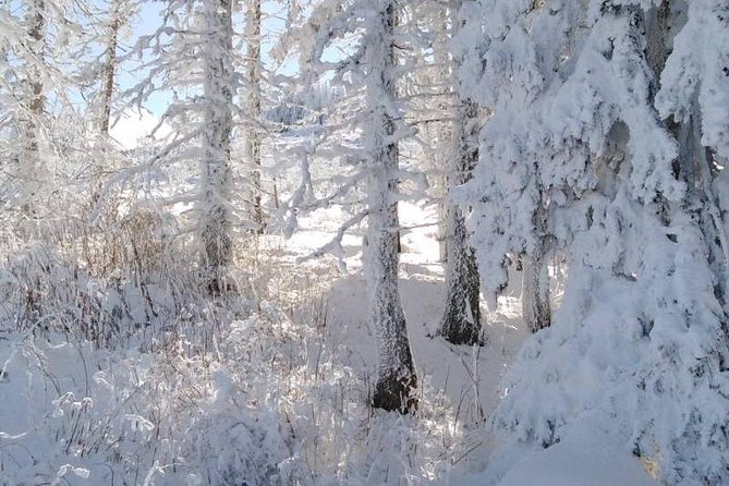 Private Vitosha Mountains Hiking With Black Peak & Dragalevtsi Monastery - Included Services and Amenities