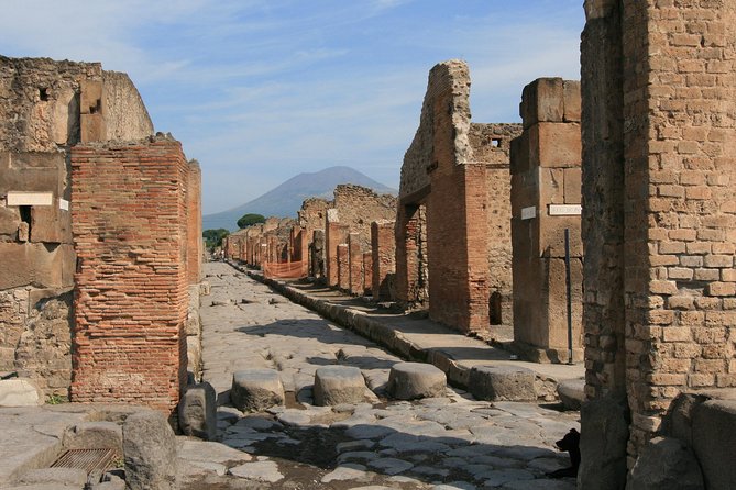 Private Walking Tour of Pompeii - UNESCO World Heritage