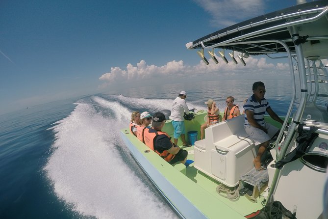 Private Whale Shark All Inclusive Experience - Pricing and Reservations