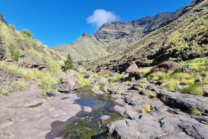 Private Wild Picnic in the North West of Gran Canaria - Meeting Point and Duration
