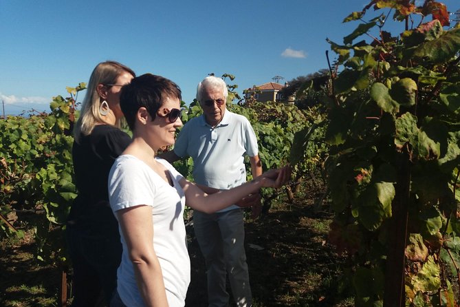 Private Wine Tasting Tour - Accessibility and Accommodations