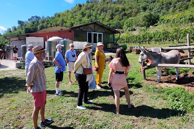 Private Wine Tour With Sommelier - the Elegance of Garfagnana - Booking Your Private Tour