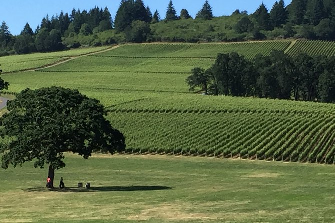 Private Wine Tour With Tastings From Eugene - Transportation and Pickup