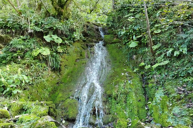 Prometheus Cave, Martvili Canyon - Traveler Reviews