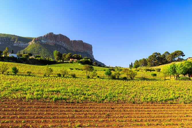 Provence Small Group Half-Day Wine Tour From Aix - Booking Information