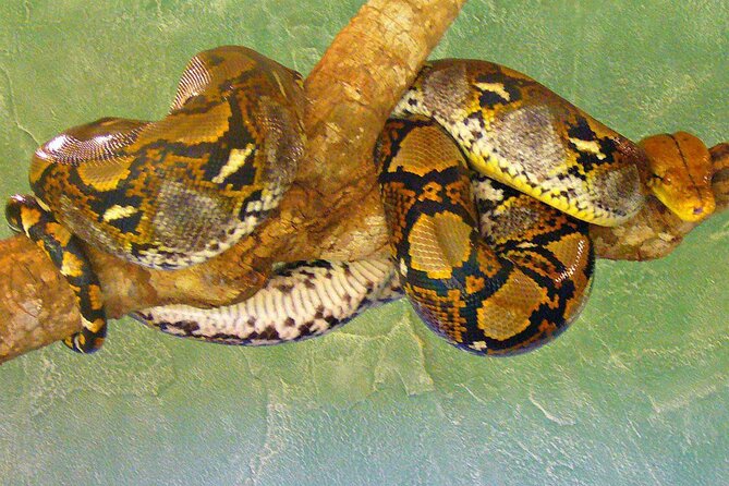 Puerto Iguazú: Iguazú Biocenter Tour - Questions About Your Stay