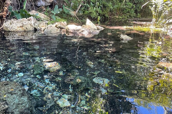Puerto Rico Hidden Spring Swim and Beach Snorkeling Tour - Health and Safety