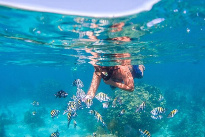 Punta Cana Booze Cruise, Snorkeling, Sand-Bar With Entertainment - Customer Reviews