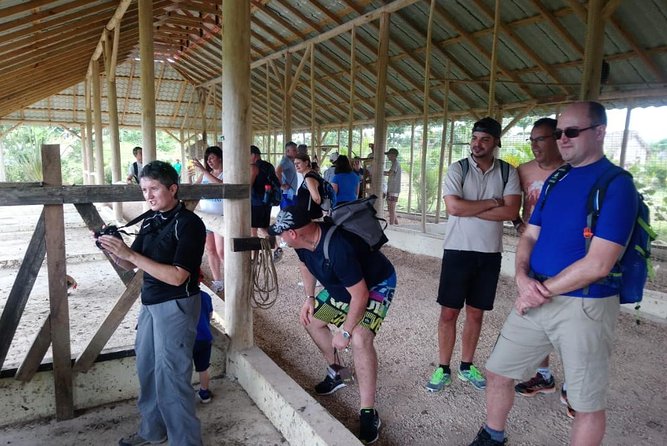 Punta Cana Horse Back Ridding on the Beach - Activity Reviews