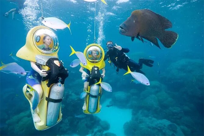 Punta Cana Scuba Doo Adventure Experience - Canadian Managed - Safety Considerations and Accessibility