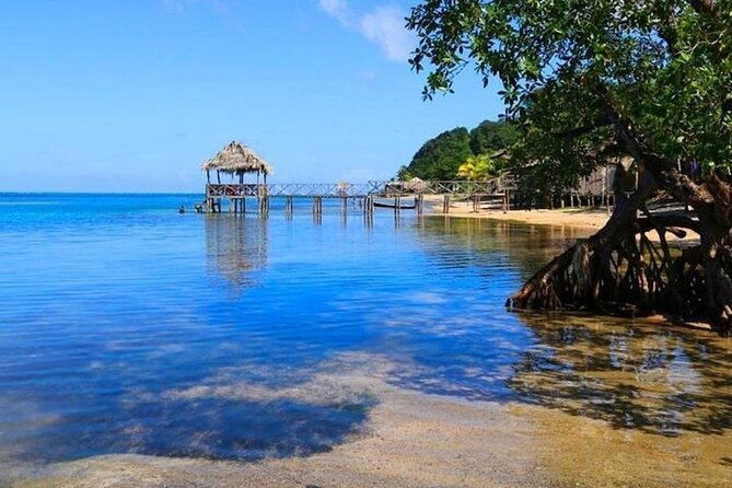 Punta Gorda Sunday Funday+ATV/Buggy Eco-Jungle & Beach Adventure - Pricing and Policies