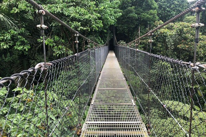 Puntarenas Shore Excursion: Rainforest Hanging Bridges, Skywalk Tour & Boat Tour - Tour Capacity and Pricing