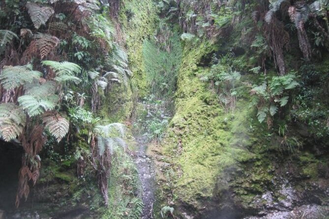 Quetzaltenango and Fuentes Georginas Hot Springs From Panajachel - Questions About Your Stay