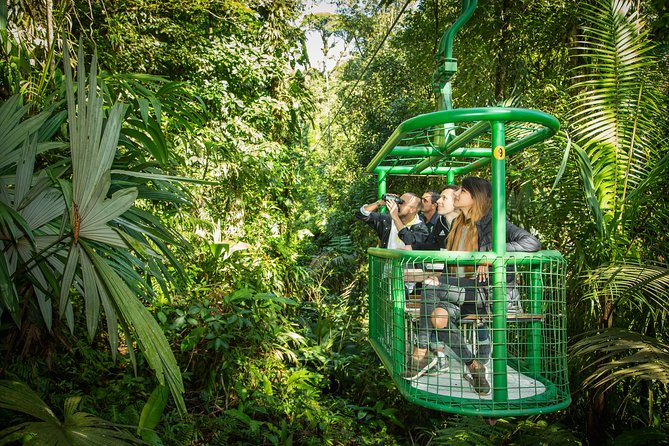 Rain Forest Aerial Tram. Private Tour From San Jose - Aerial Tram Experience