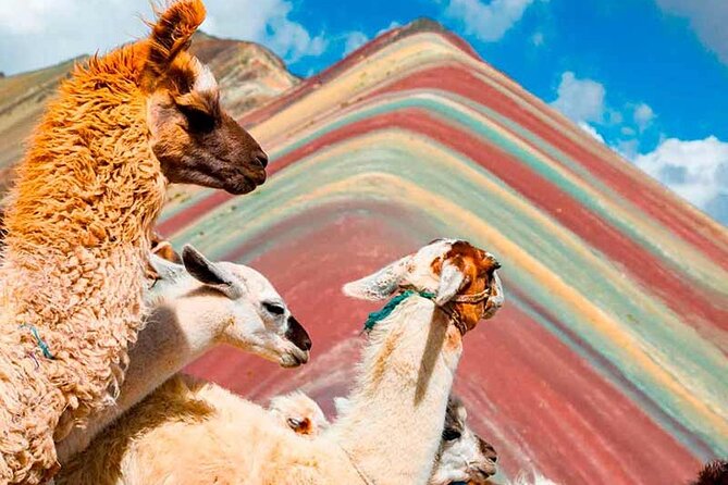 Rainbow Mountain Quad Bike Day Trip - Questions About Your Stay