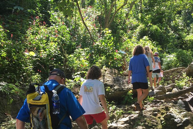 Rainforest Tour in San Juan, Puerto Rico - Tour Highlights