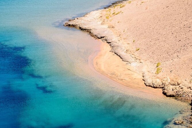 Ras Mohammed Diving Day Trip From Sharm El-Sheikh - Pricing and Confirmation Details