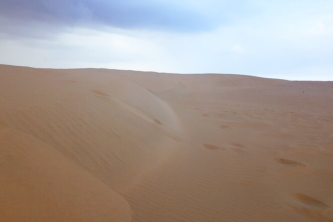 Relax Desert Safari Tour With Camel Ride and Sand Boarding - What to Expect