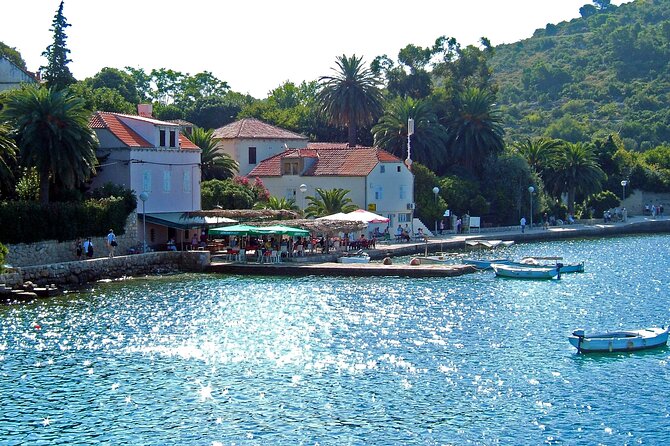 Rent a Boat! (Group Option - Half Day) - User Feedback