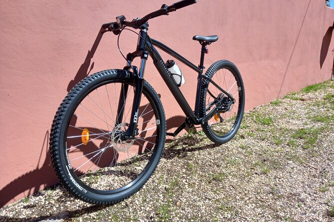 Rent a Mountain Bike and Explore Lagos and Algarve in Portugal - Accessibility and Health Considerations