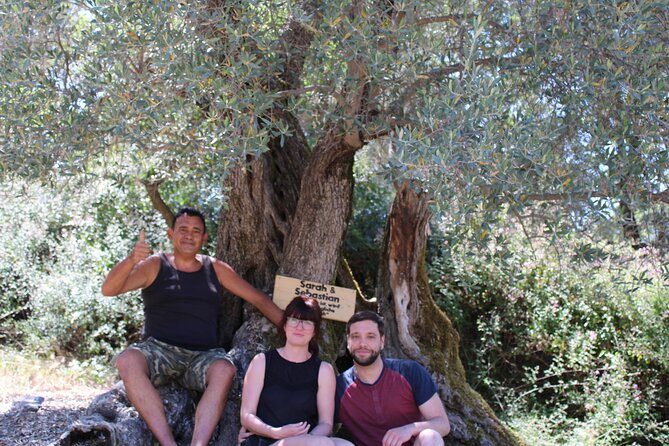 Rethymnon Olive Tree Sponsorship Protect and Plant Tour - Booking and Service Assistance