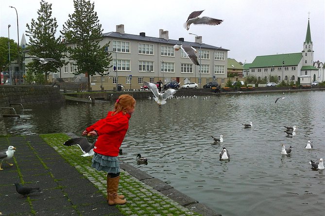 Reykjavik Food Tour and City Walk - PRIVATE TOUR - Testimonials From Participants