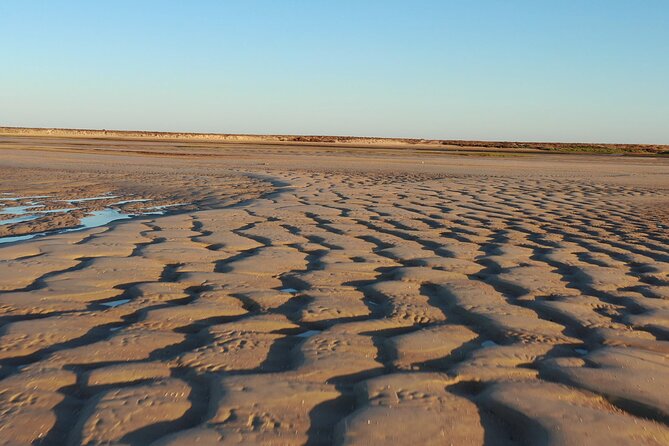 Ria Formosa & Islands : 2h00 Private Tour of Ria Formosa - Operating Hours
